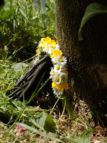 Bilder aus dem Unterricht