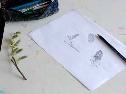 Bilder aus dem Unterricht